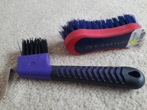 Horse pony grooming - pony,