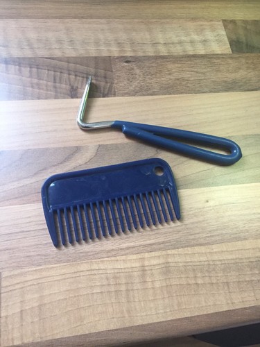Hoof pick and mane - and,